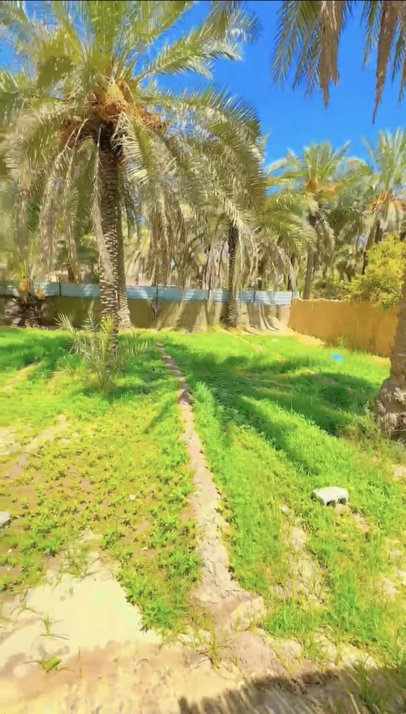 يبعد عن الشارع 50متر
